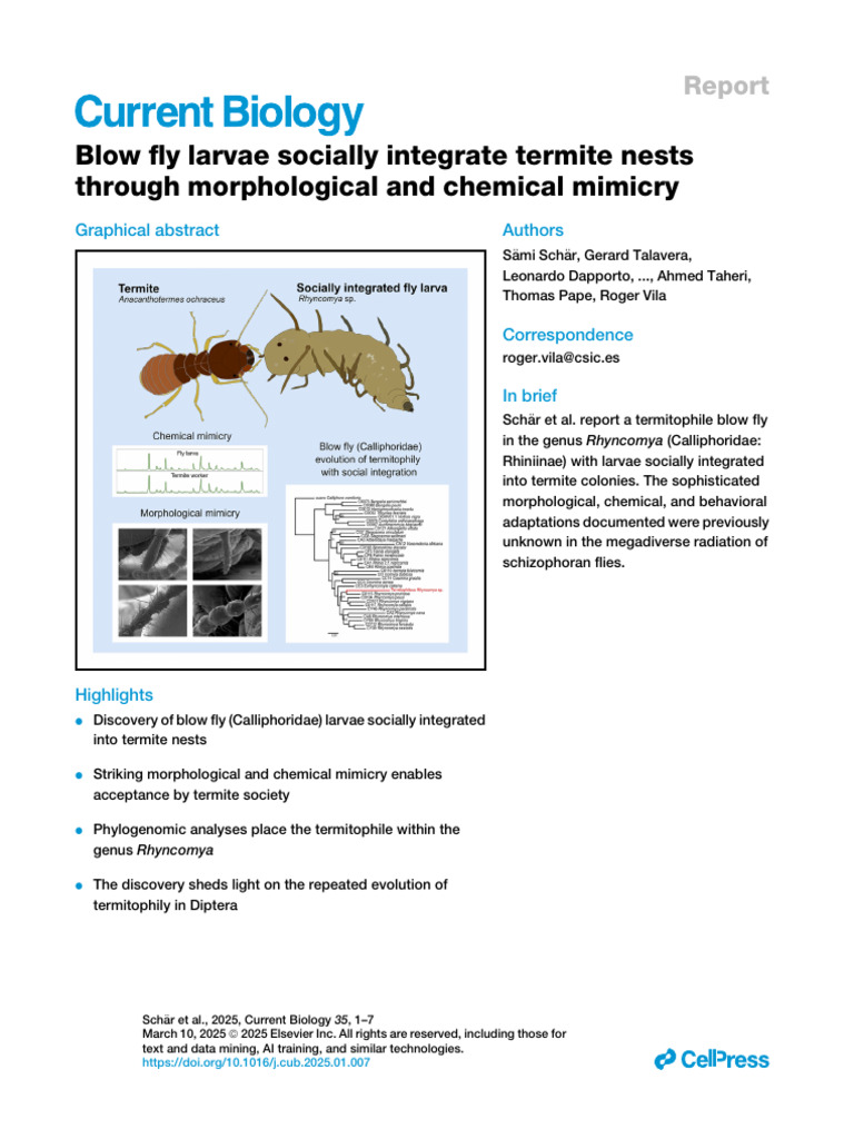 Blow Fly Larvae in Termite Nests | PDF | Fly | Zoology