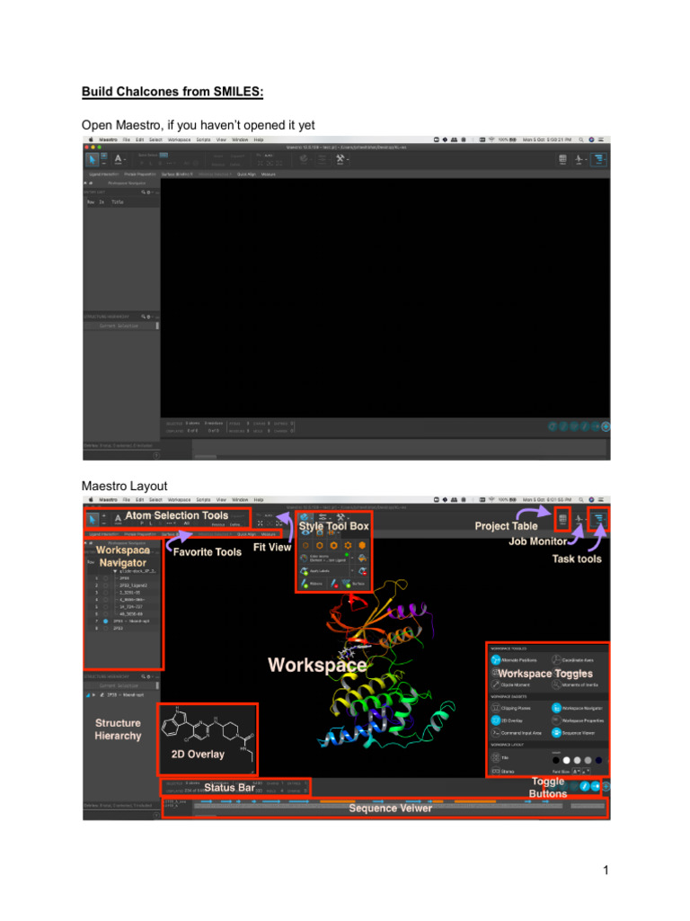 Maestro Intro Ligand-Sketching | PDF
