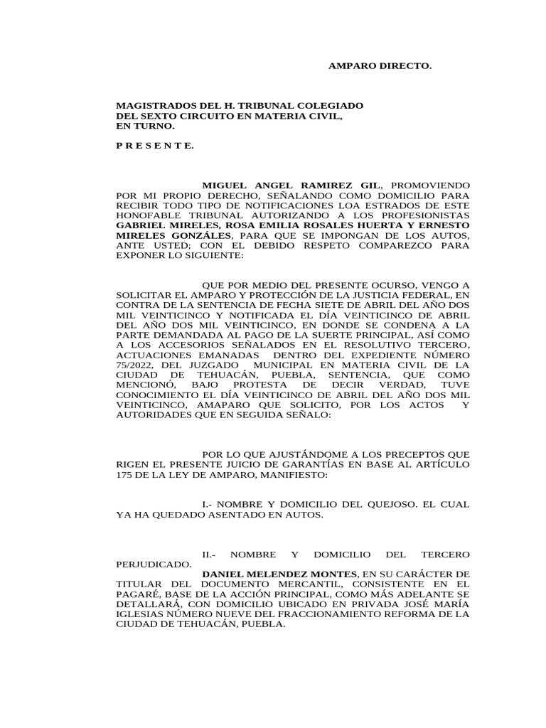 Amparo Directo en Materia Civil Tehuacán | PDF | Apelación | Caso de ley