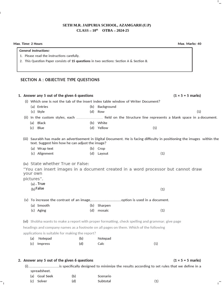 Class 10 OTBA 2024-25 Question Paper | PDF | Databases | Spreadsheet