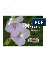 Pan 01