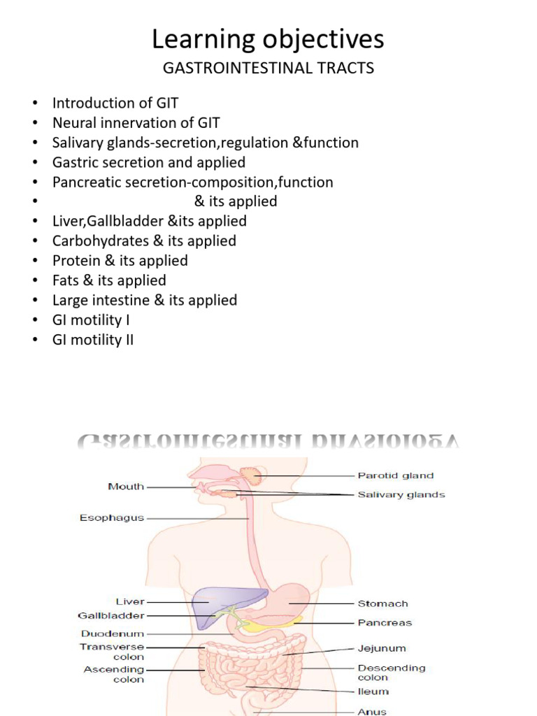 Gastrointestinal Tract Physiology Overview | PDF | Gastrointestinal ...