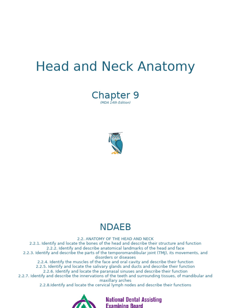 Chapter 9: Head and Neck Anatomy | PDF | Skull | Human Head And Neck