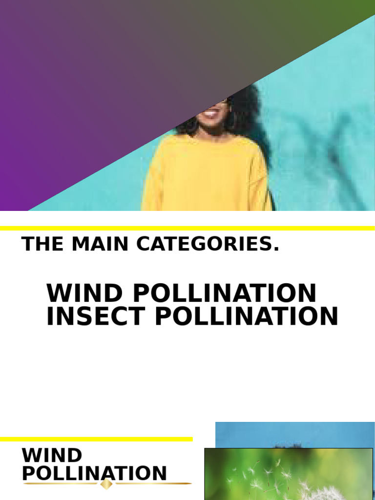 Wind vs. Insect Pollination Explained | PDF