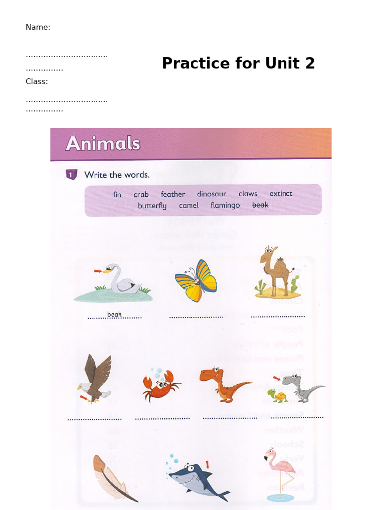 Homework U2 Animals | PDF