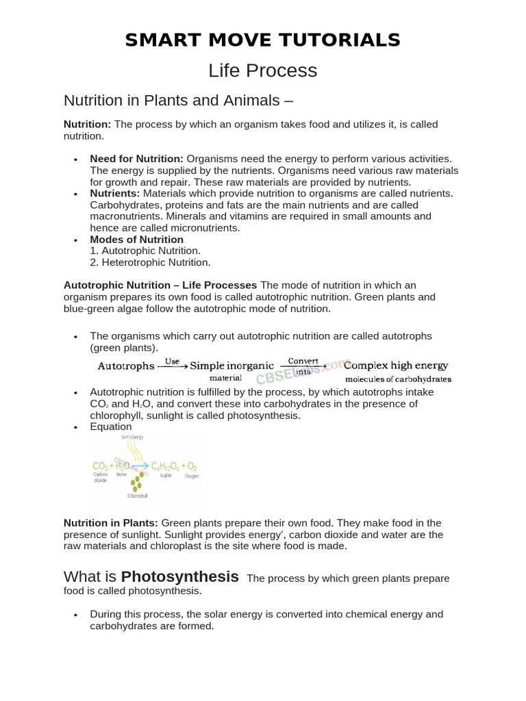 CHAPTER 5 Life Process | PDF | Cellular Respiration | Respiratory Tract
