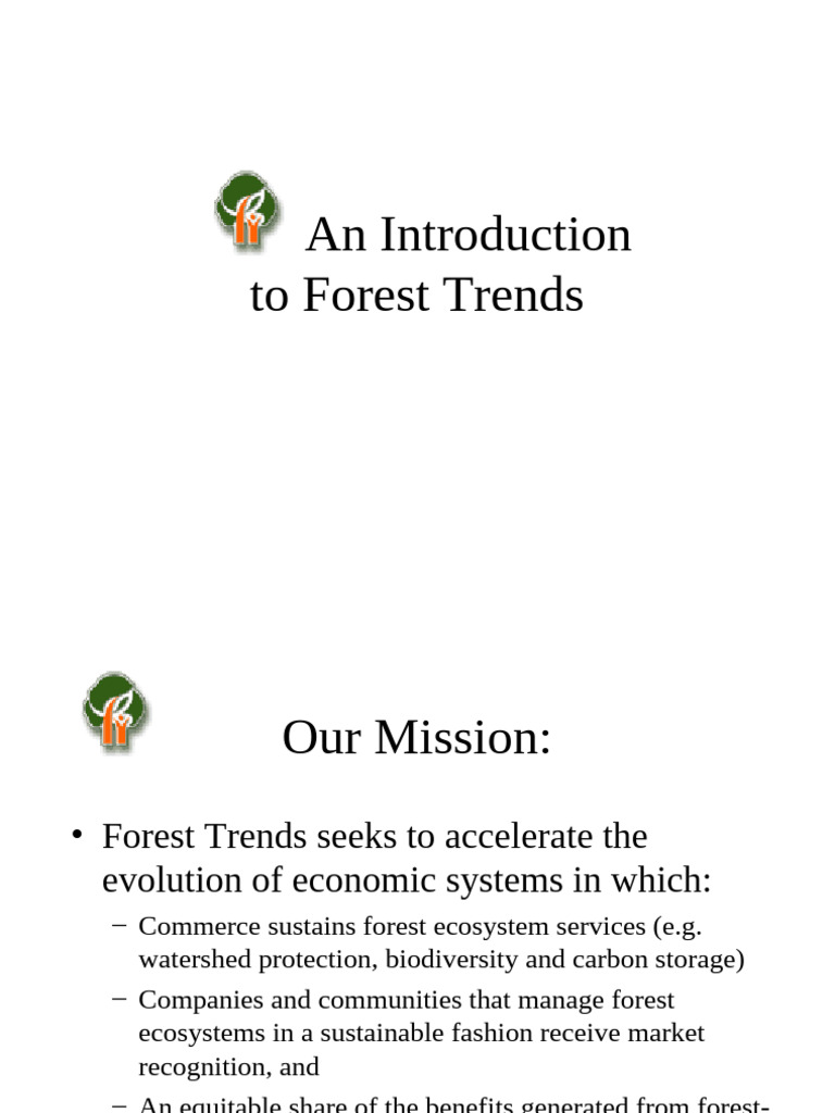 PTN Fin Foreststrends en | PDF | Forest Management | Forests