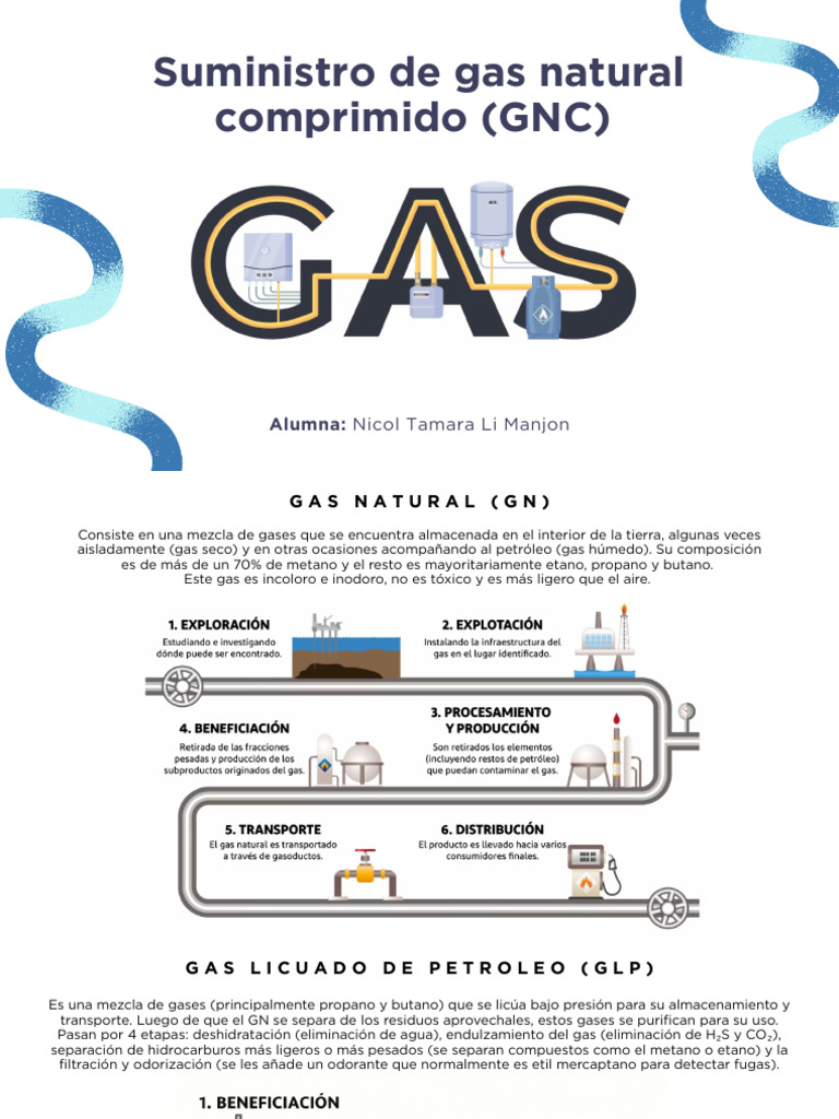Proceso de Suministro de Gas Natural | PDF | Gas natural | Gases