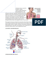 Pulmonary Tuberculosis Causes and Spread