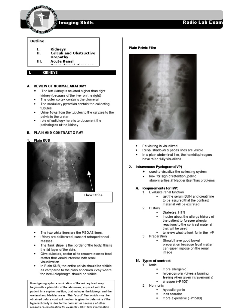 KUB Radio Lab Trans Kidney Urology