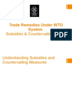 PPT-Subsidies and Countervailing Duties