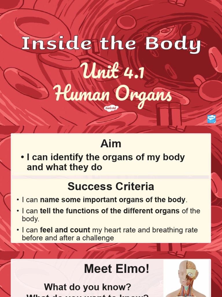 S3 - W22 - 4.1 Human Organs - P1 | PDF