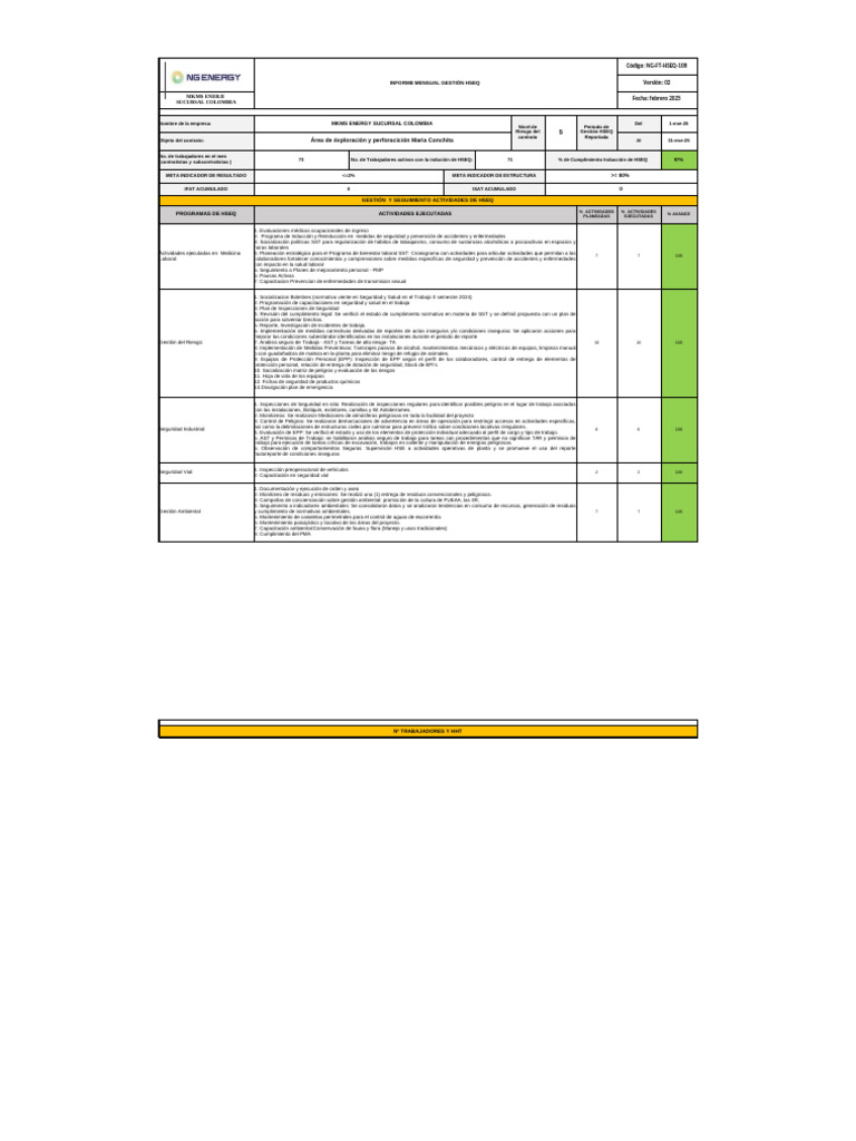 Informe Mensual HSEQ Febrero 2025 | PDF | Seguridad y salud ocupacional ...