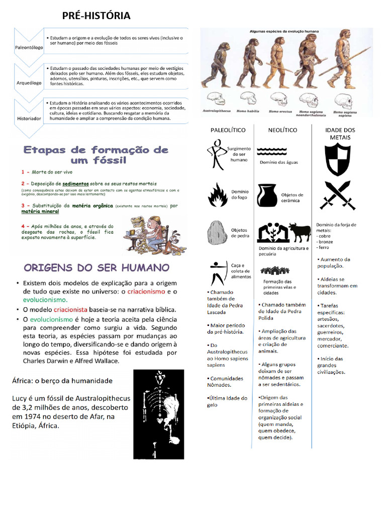 Resumo da Pré-História para 6º Ano | PDF | Paleolítico | Neolítico