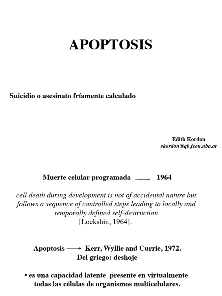 Apoptosis: Muerte Celular Programada | PDF | Apoptosis | Mitocondria