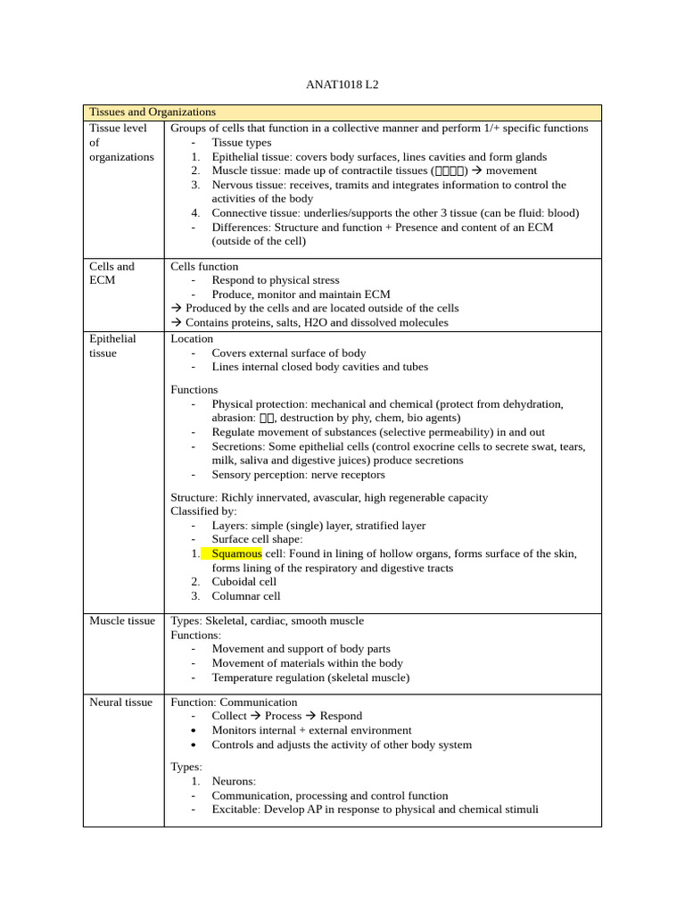 Overview of Tissue Types and Functions | PDF | Epithelium | Tissue ...