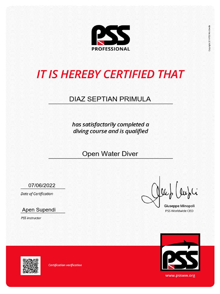 Diploma PSS | PDF