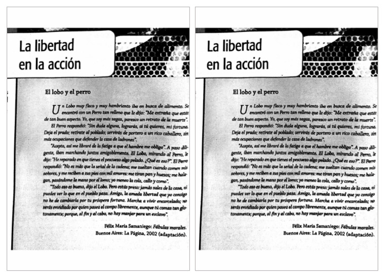 La Libertad en La Accion | PDF