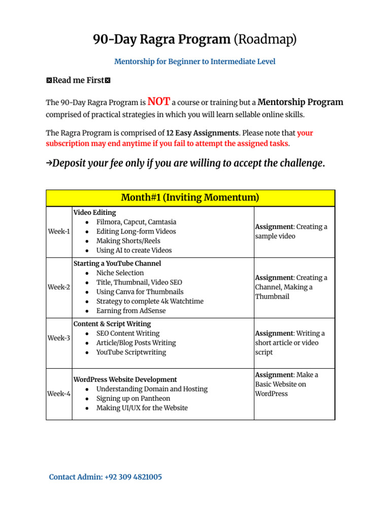 90-Day Ragra Mentorship Program | PDF | Linked In | E Commerce