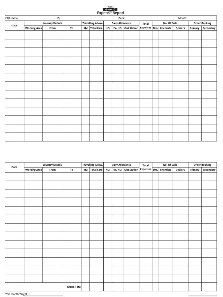 Monthly Expense and Sales Report | PDF