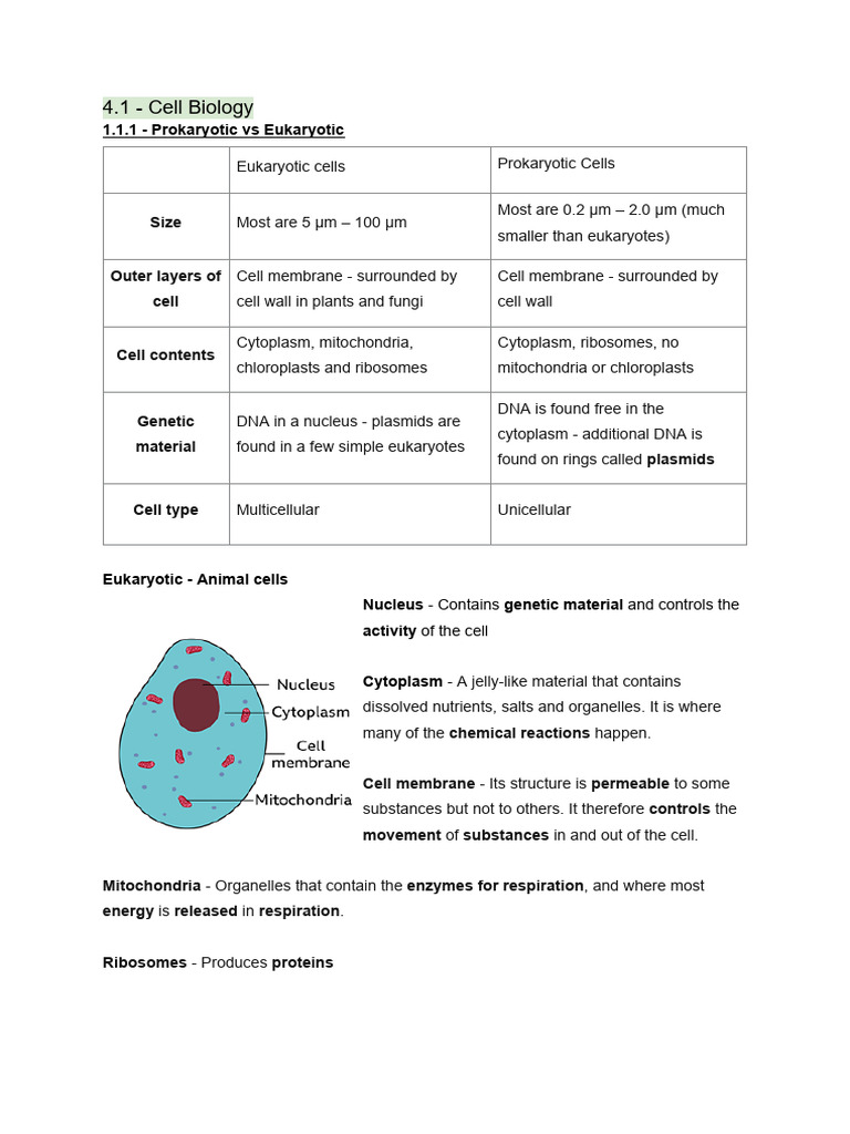 Eukaryotic vs Prokaryotic Cells Explained | PDF | Cell (Biology ...