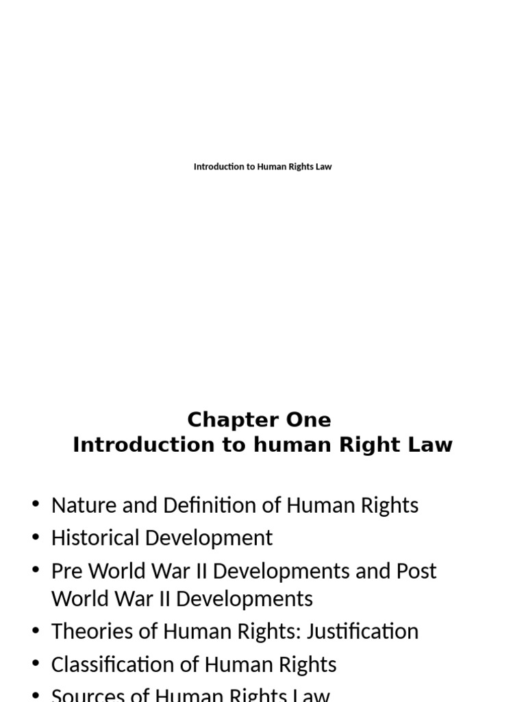 Overview of Human Rights Law Principles | PDF | Human Rights | Treaty