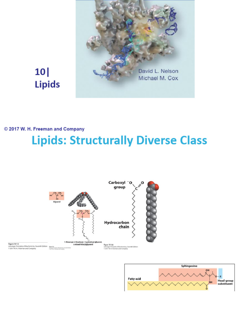 Functions and Types of Lipids | PDF | Lipid | Fat