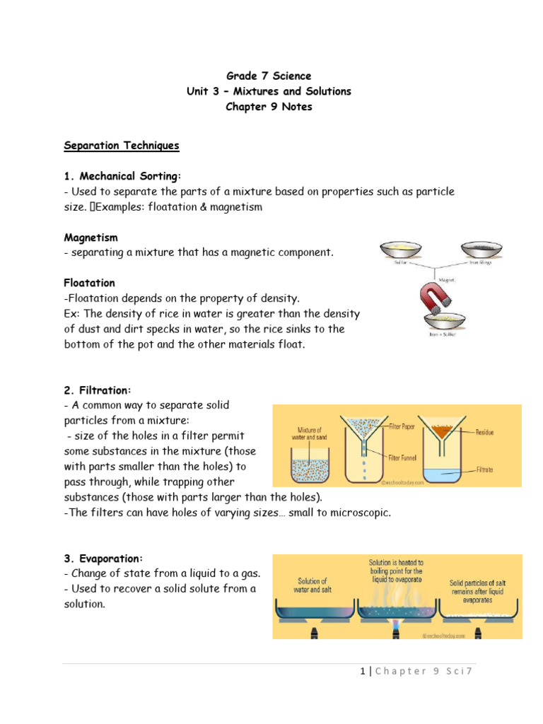 Chapter 9 Notes Grade 7 - Sci7 | PDF