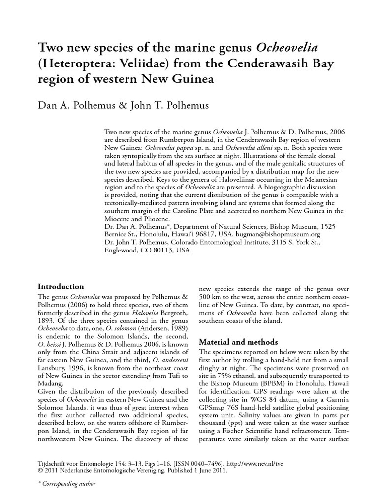 Two New Species of The Marine Genus Ocheovelia From New Guinea 2011 ...