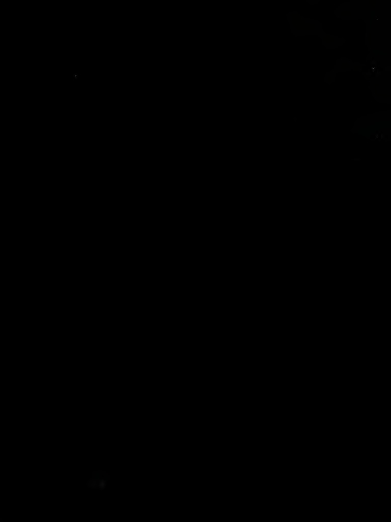 Crime Punishment 1917 Dost PDF Crime And Punishment