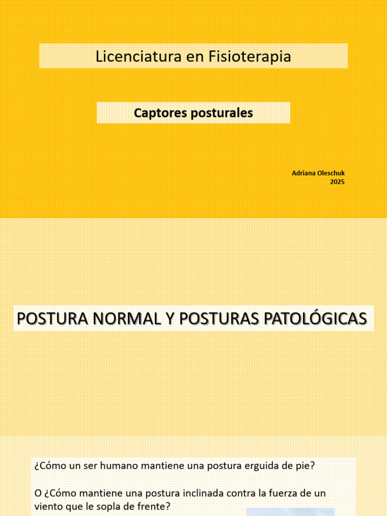 Captores Posturales en Fisioterapia | PDF | Sistema nervioso