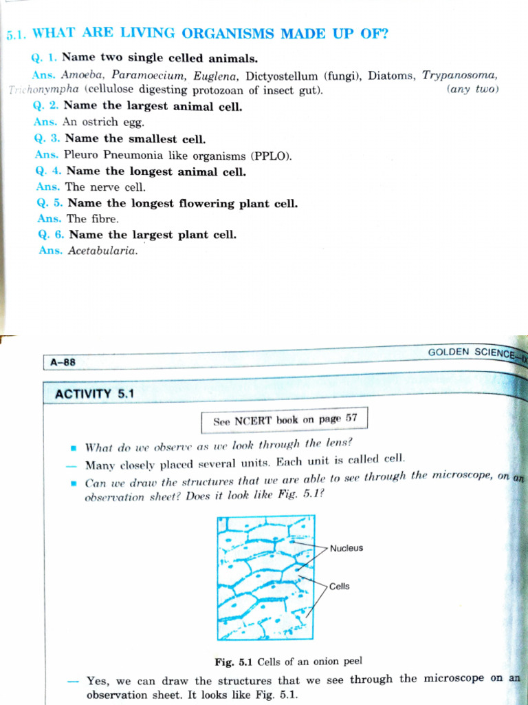 Adobe Scan 26 Apr 2025 | PDF | Endoplasmic Reticulum | Cell (Biology)