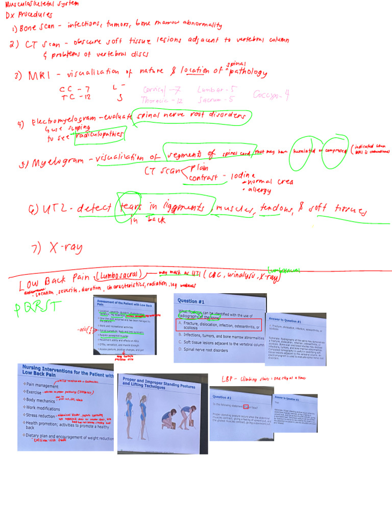 MS Lec Musculoskeletal | PDF | Vertebral Column | Clinical Medicine