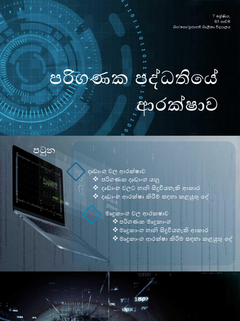 Archivetemp03. Security of Software Grd7 | PDF