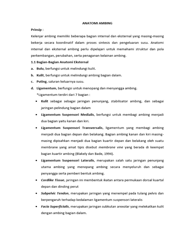 Anatomi Ambing | PDF