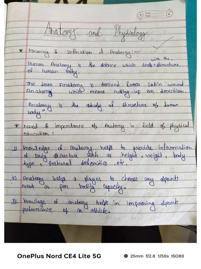 Anatomy Notes ? | PDF