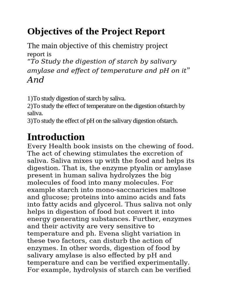 Objectives of The Project Report | PDF