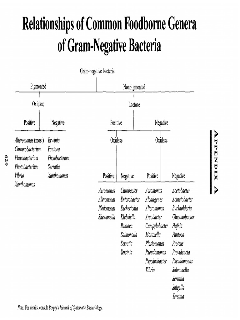 Appendex A-Modern Food Microbiology | PDF | Biofilm | Bacteria
