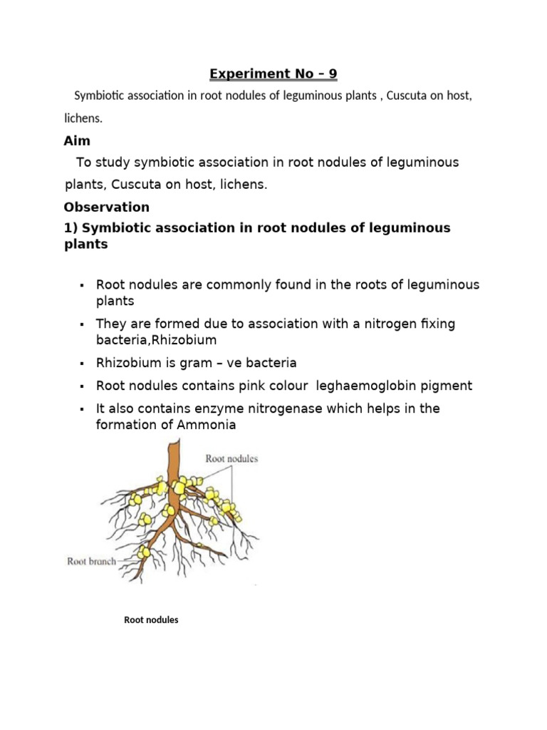 Experiment No 9 | PDF
