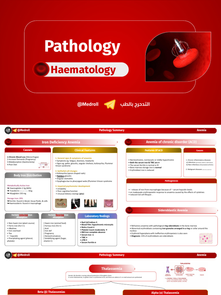 Comprehensive Guide to Anemia Types | PDF | Anemia | Diseases And Disorders
