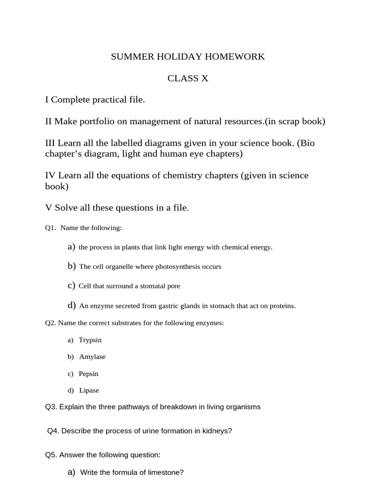 Summer Holiday Homework 10 | PDF | Chemical Reactions | Stomach