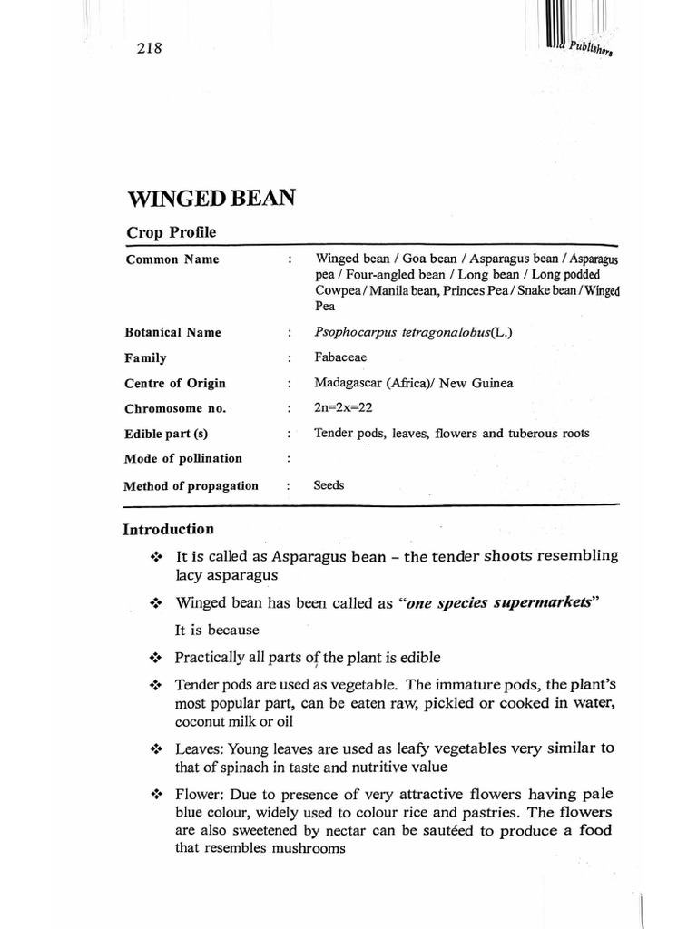 Winged Bean | PDF