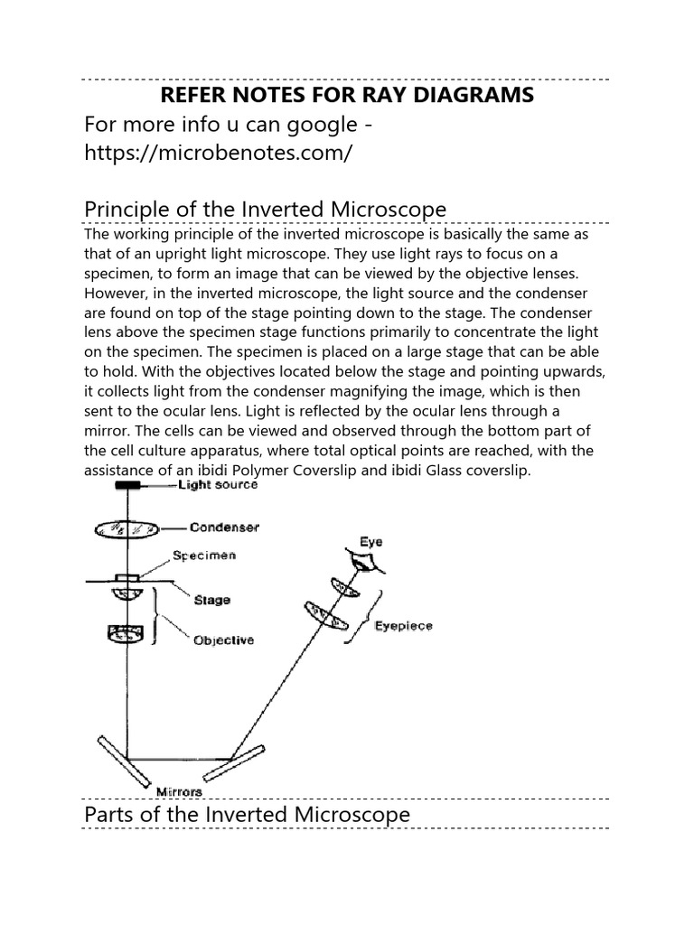 Principle, Construction and Uses of Microscpes | PDF | Fluorescence ...