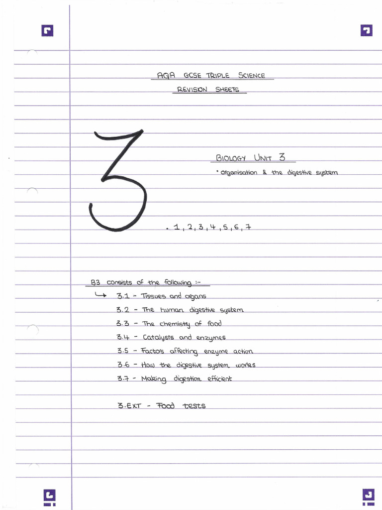 B3 Revision Notes | PDF