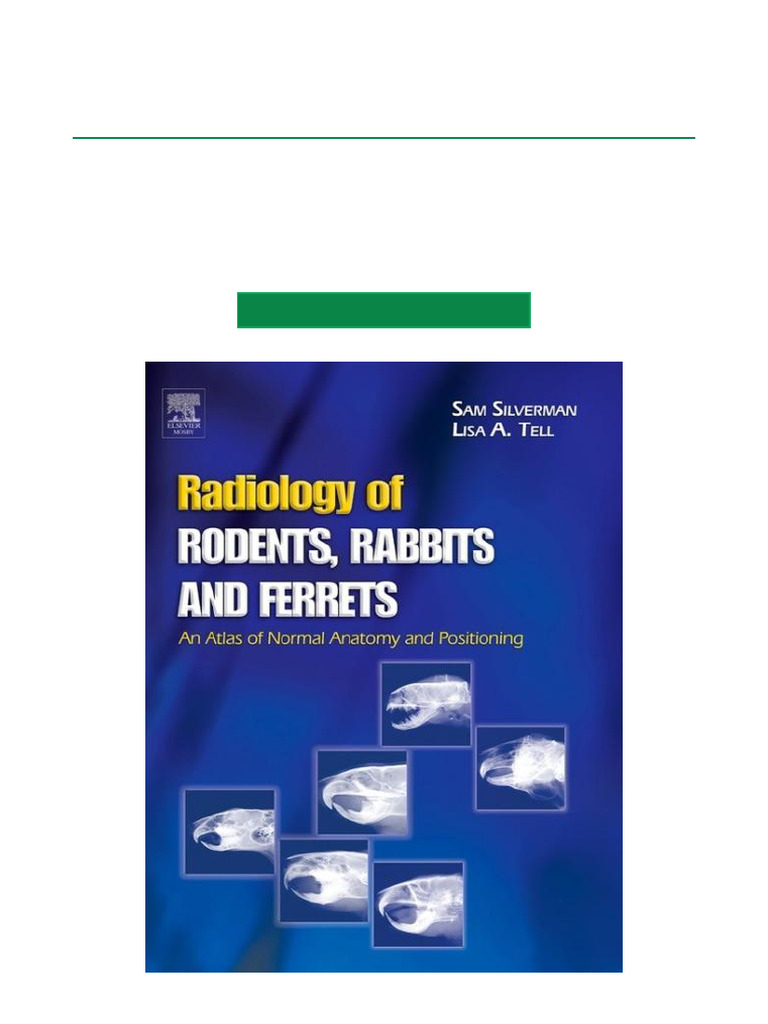 Radiology Atlas for Rabbits and Ferrets | PDF | Anatomical Terms Of ...