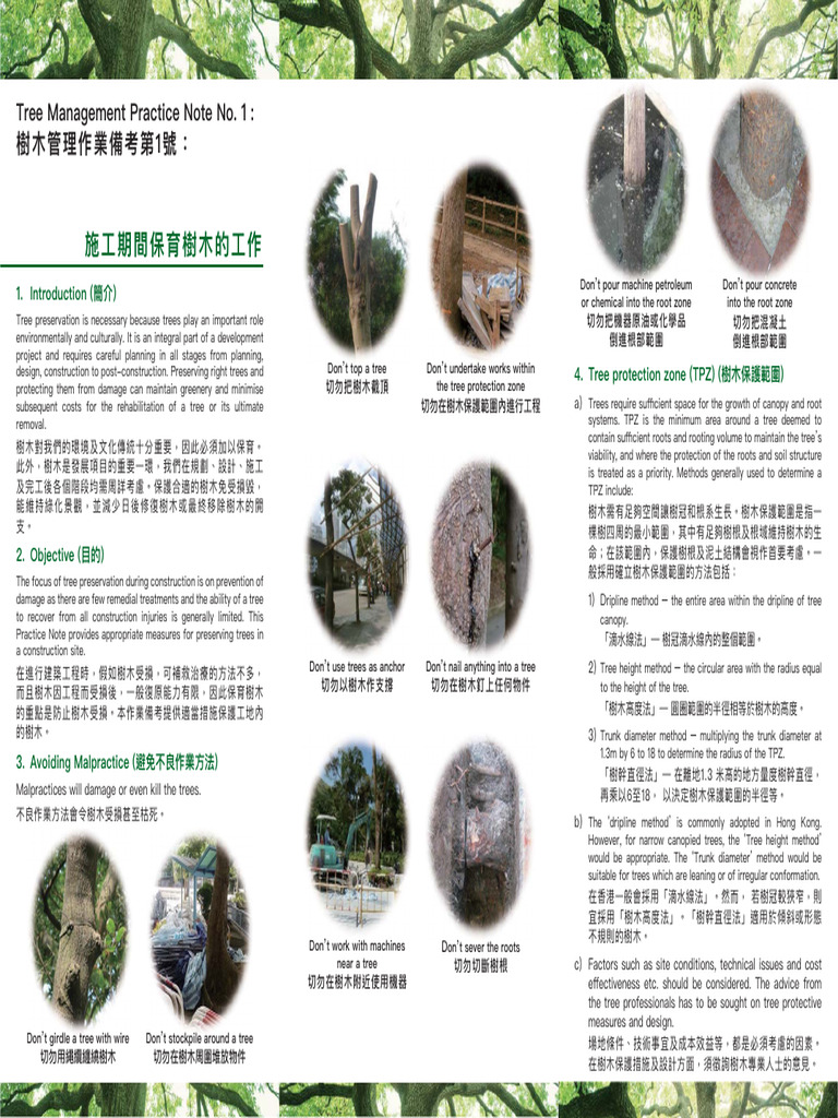 Tree Preservation Guidelines for Construction | PDF