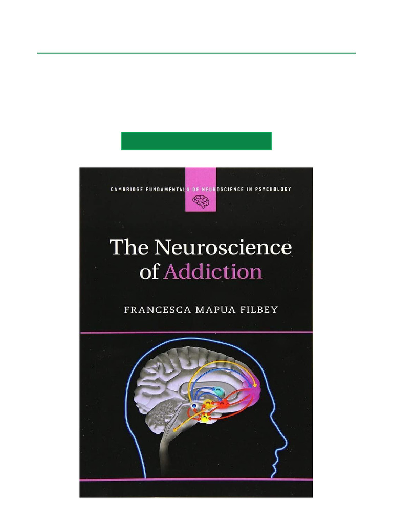 Neuroscience Insights on Addiction | PDF | Reward System | Impulsivity