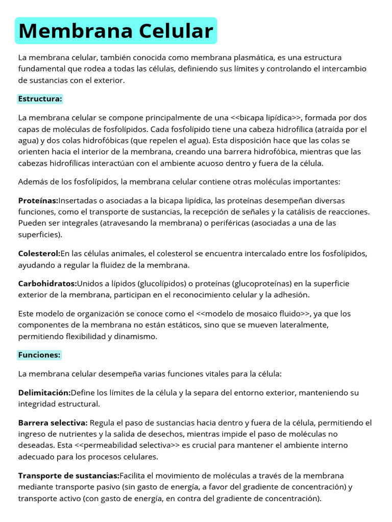 Estructura y funciones de la membrana celular | PDF | Membrana celular ...