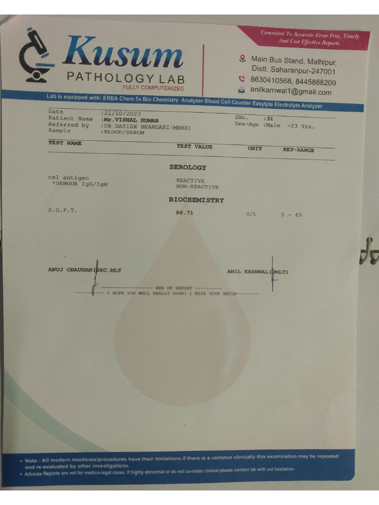 Test Report 2 | PDF