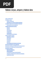 Análisis del Art. 43 de la CN Argentina | PDF | Habeas corpus | Ley común